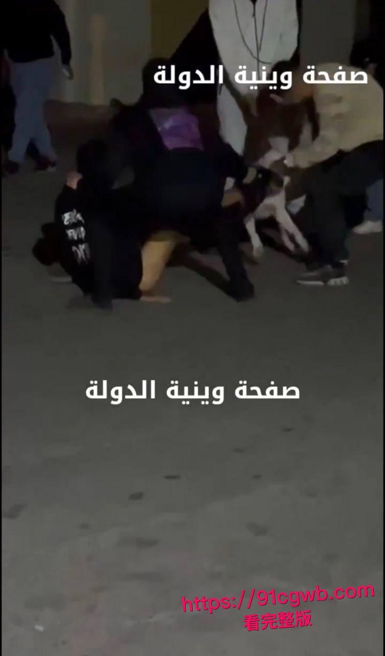 简直是看得蛋疼！黎巴嫩贝鲁特街头小伙裤裆惨遭比特犬幼犬狂咬！睾丸被生生扯出伤口血肉模糊低吟求救全过程偷拍视频疯传