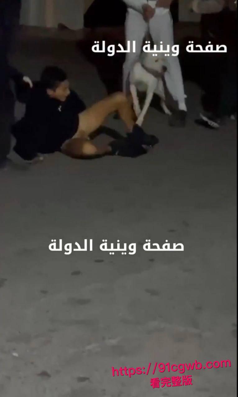 简直是看得蛋疼！黎巴嫩贝鲁特街头小伙裤裆惨遭比特犬幼犬狂咬！睾丸被生生扯出伤口血肉模糊低吟求救全过程偷拍视频疯传