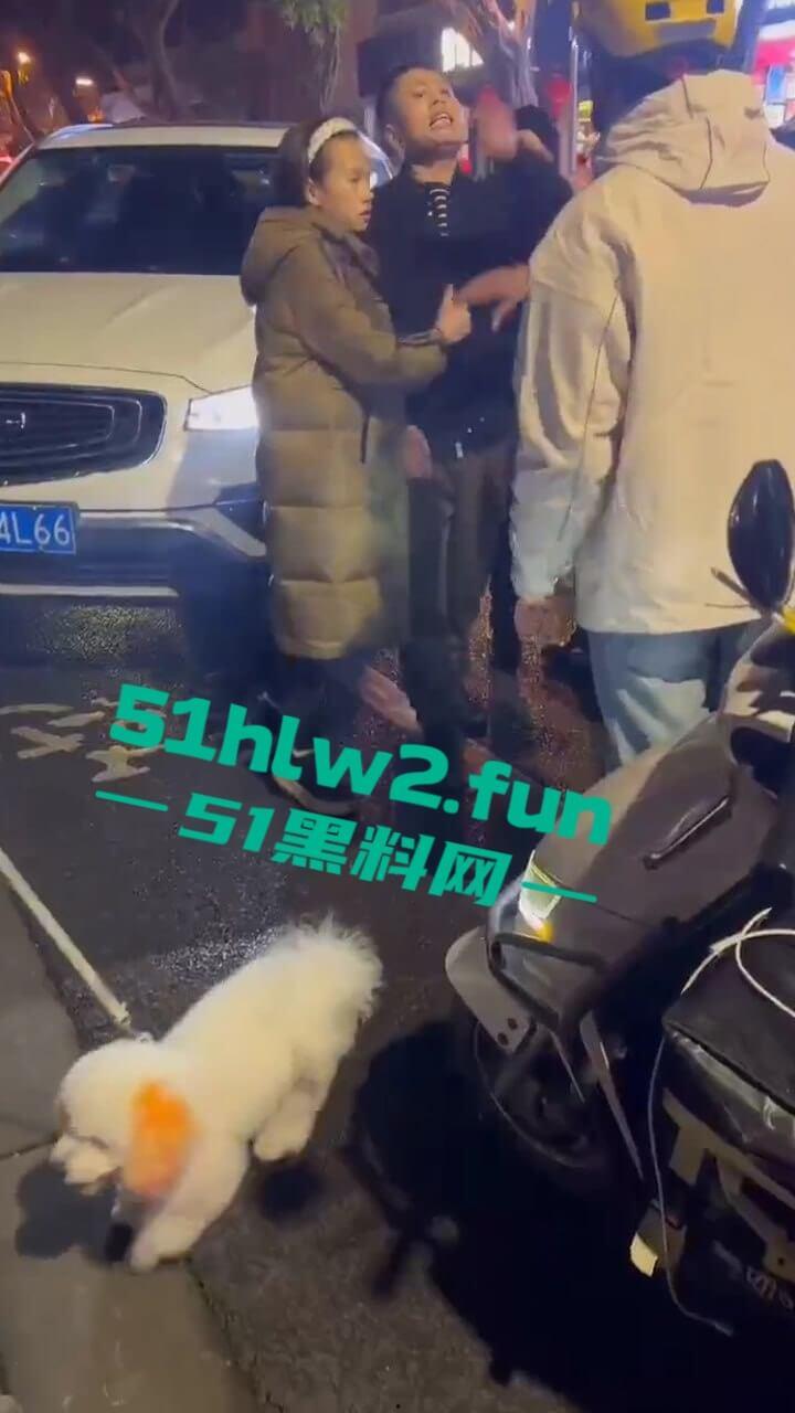 四川乐山奇葩男女,开个破吉利撞到外卖员下车辱骂对方,称自己是有钱人这逼装的能给满分。-4