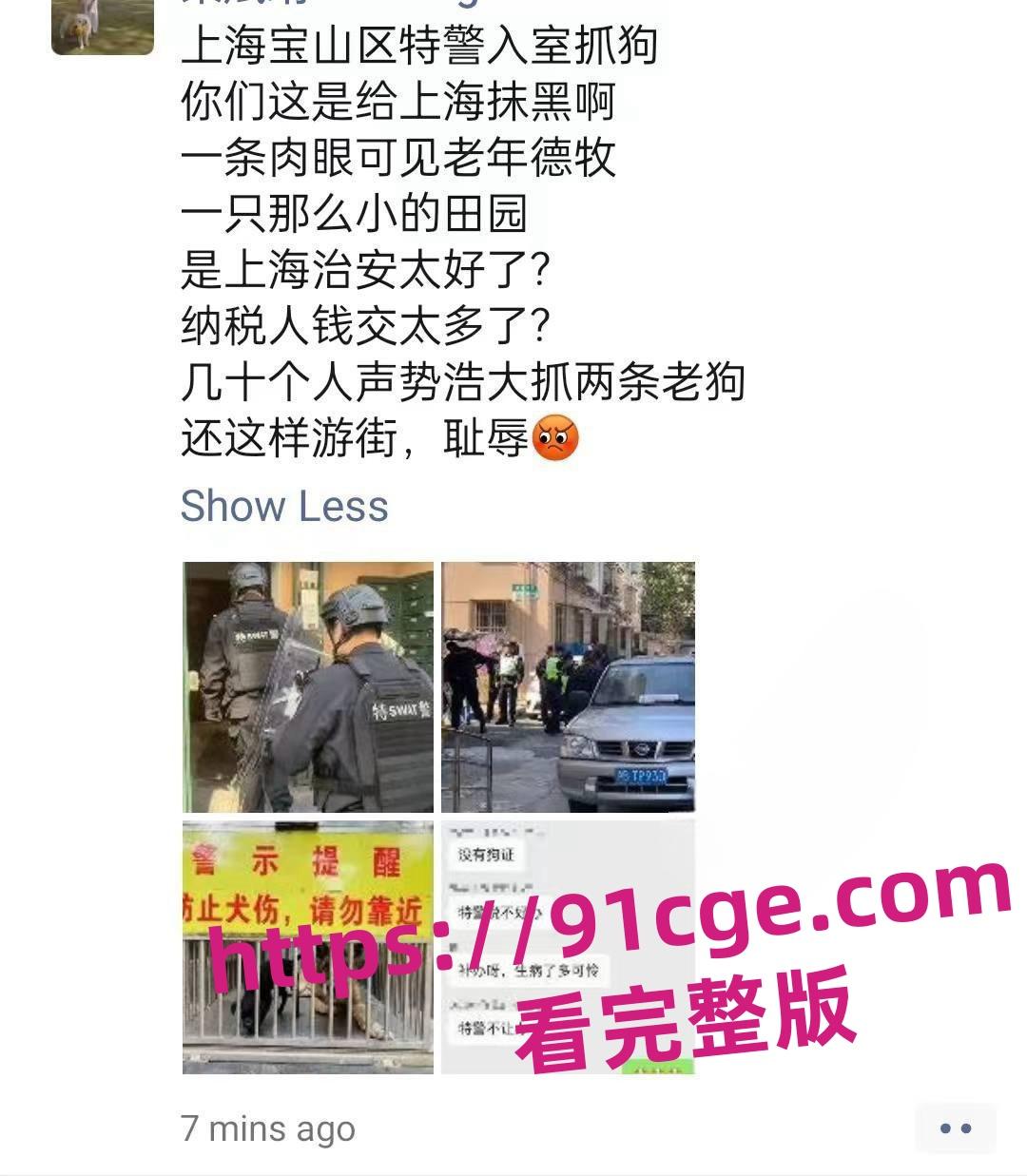 上海抓狗行动特警撬锁 只为抓捕16岁退瘫痪役警犬！-5