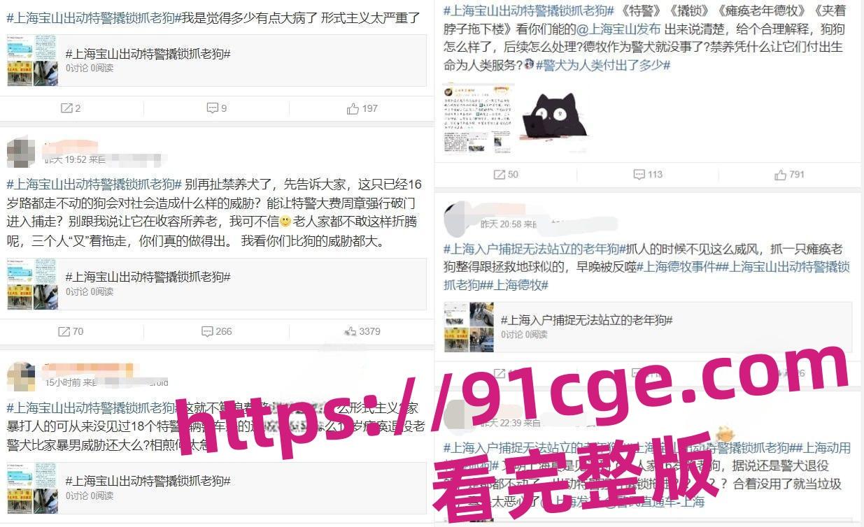 上海抓狗行动特警撬锁 只为抓捕16岁退瘫痪役警犬！-8