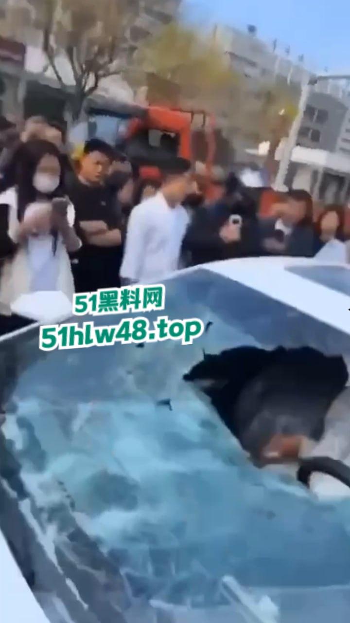 河北邢台最蠢原配，带姐妹家人砸车抓小三被吓的车里不敢出来，结果被玻璃划伤原配遭刑拘。