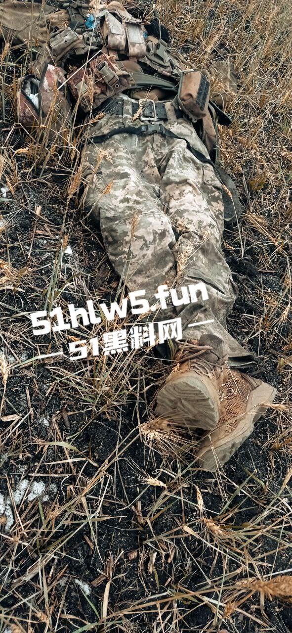 【血腥恐怖】俄乌战场战后清扫，到处都是早已腐烂的士兵尸体，现场视频画面流出。