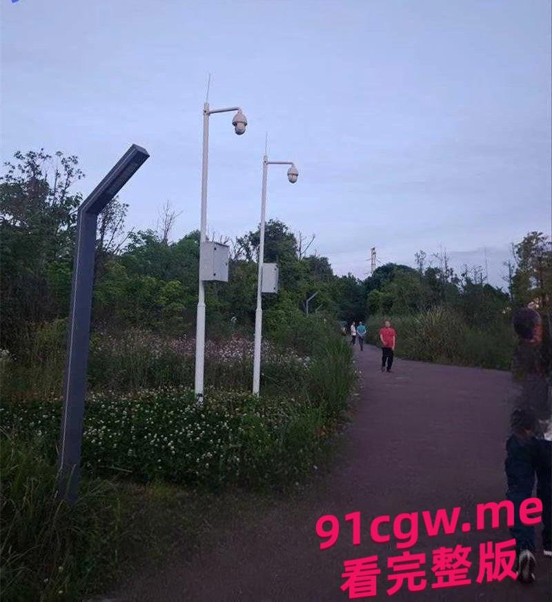 成都“大久保公园”大量站街女!100一次妹妹陪你钻小树林,避孕套堆成山-5