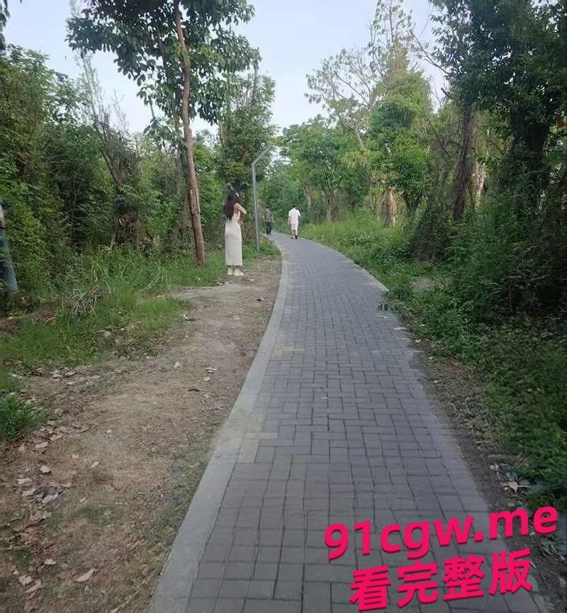 成都“大久保公园”大量站街女!100一次妹妹陪你钻小树林,避孕套堆成山-6