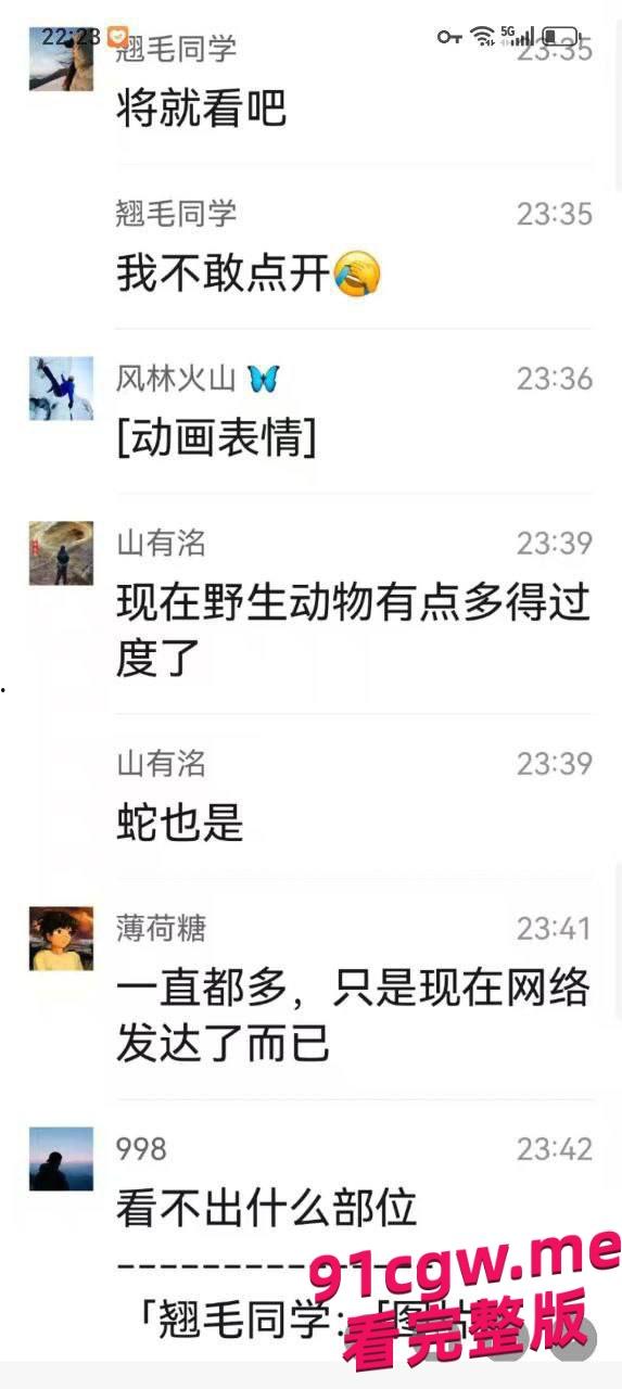 男子去西藏旅游被狗熊袭击,脸都吃没了血腥现场视频曝光!-8