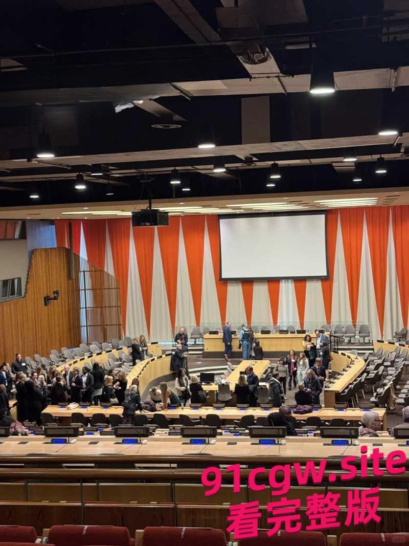 26美金就能参观几百美元能上台演讲,坑爹的联合国成为网红蹭热度-7