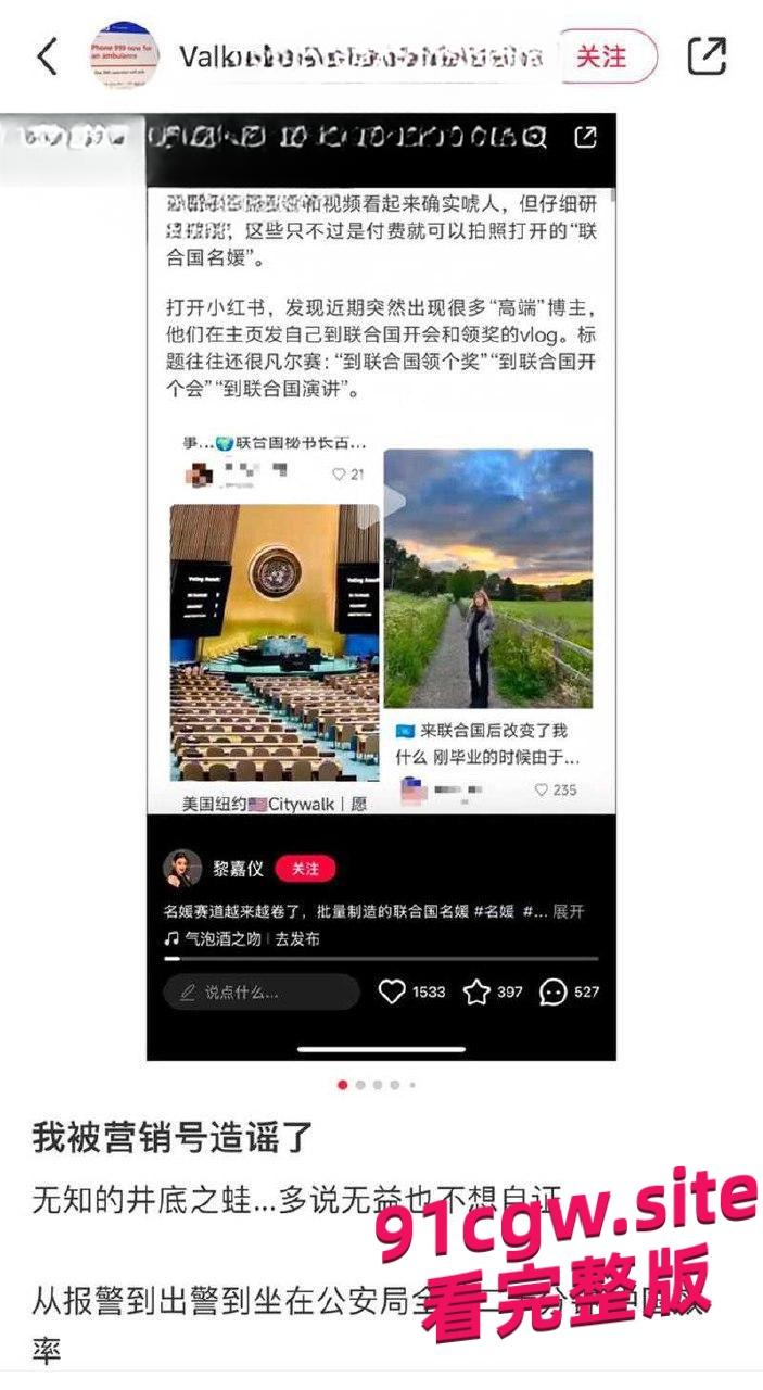 26美金就能参观几百美元能上台演讲,坑爹的联合国成为网红蹭热度-8