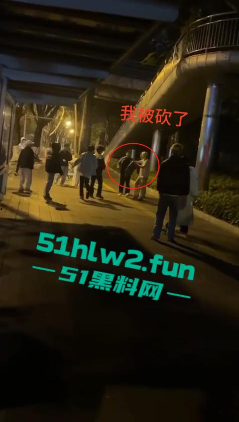 网传两群精神小伙天桥下约架，谁跳砍谁蒙面刀客低调上场，人狠话不多提起就是一刀儿。