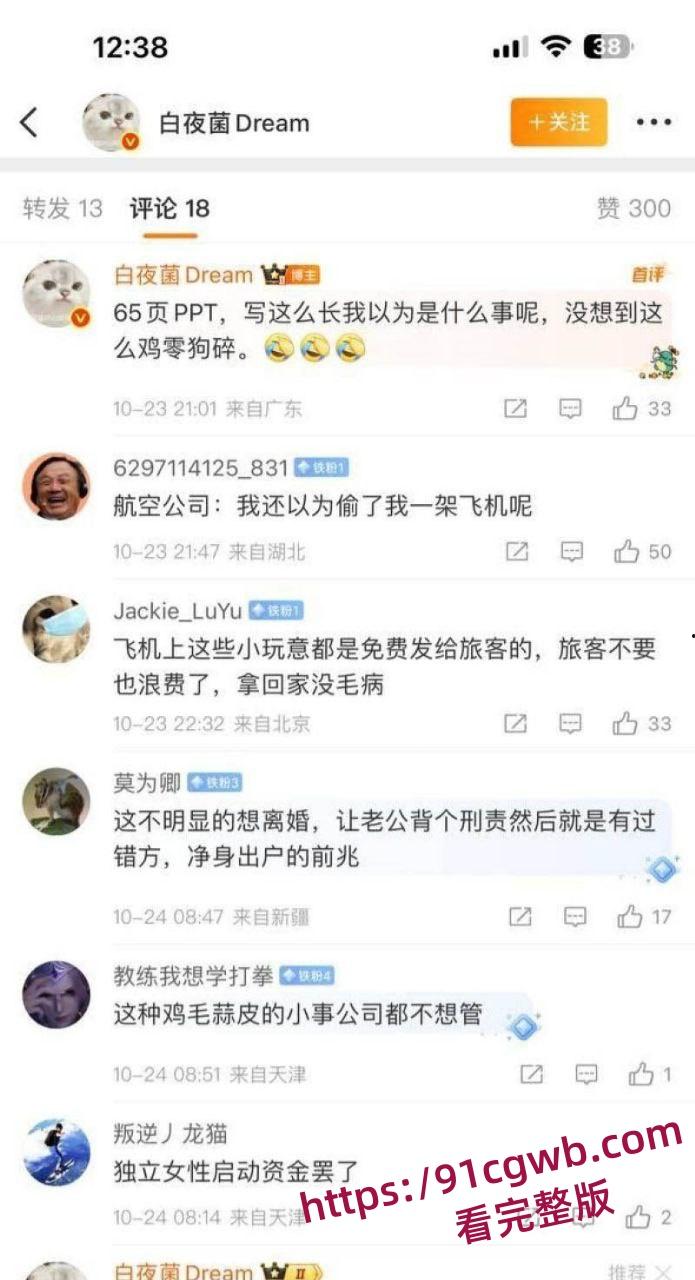 南航空警偷物资养家被老婆65页PPT锤爆 诫勉谈话后神反转 妻子竟被爆出轨视频 剧情太狗血！-24