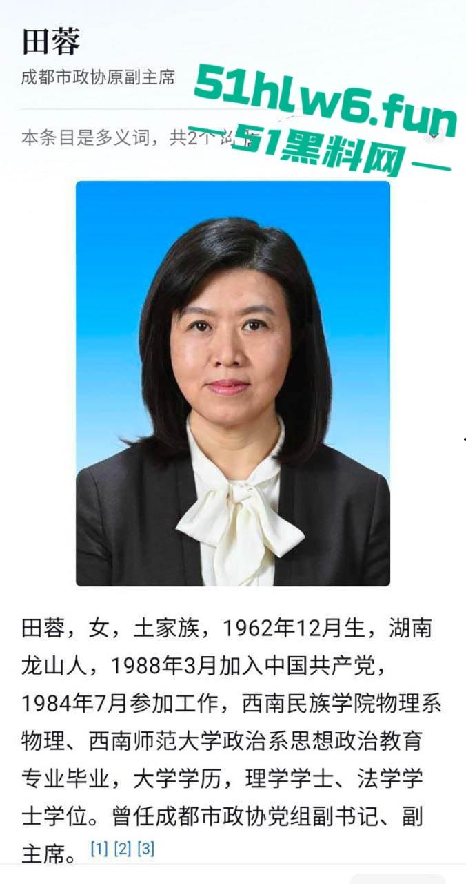 四川成都正厅级干部女贪官【田蓉】落马当年【谭谈交通】被封杀事件始作俑者 作陪领导的视频也被曝光！-6