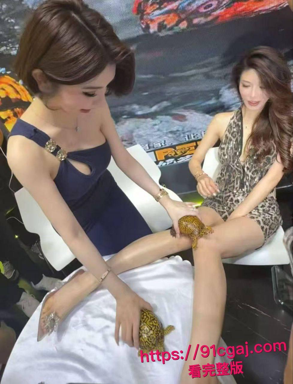 现在连卖乌龟都要请模特?广东佛山顺德龟展黑丝妹子扭腰甩臀勾魂,主办方慌张轰走这场肉欲大趴体 #世界名龟展模特派对揭秘 #网红高颜女神龟展暴露 #网红擦边 #龟友-2
