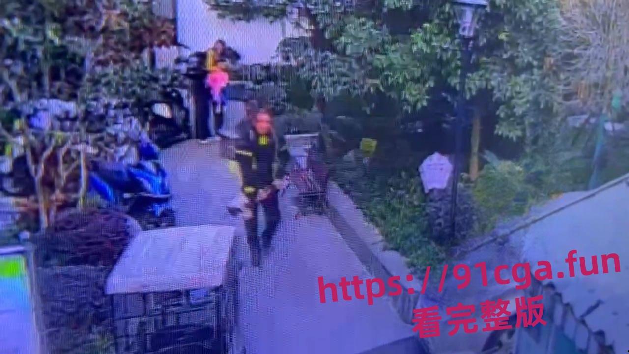 安徽宣城5月龄小柯基扑向孩子 家长拿铁锹活活把狗拍死!-1