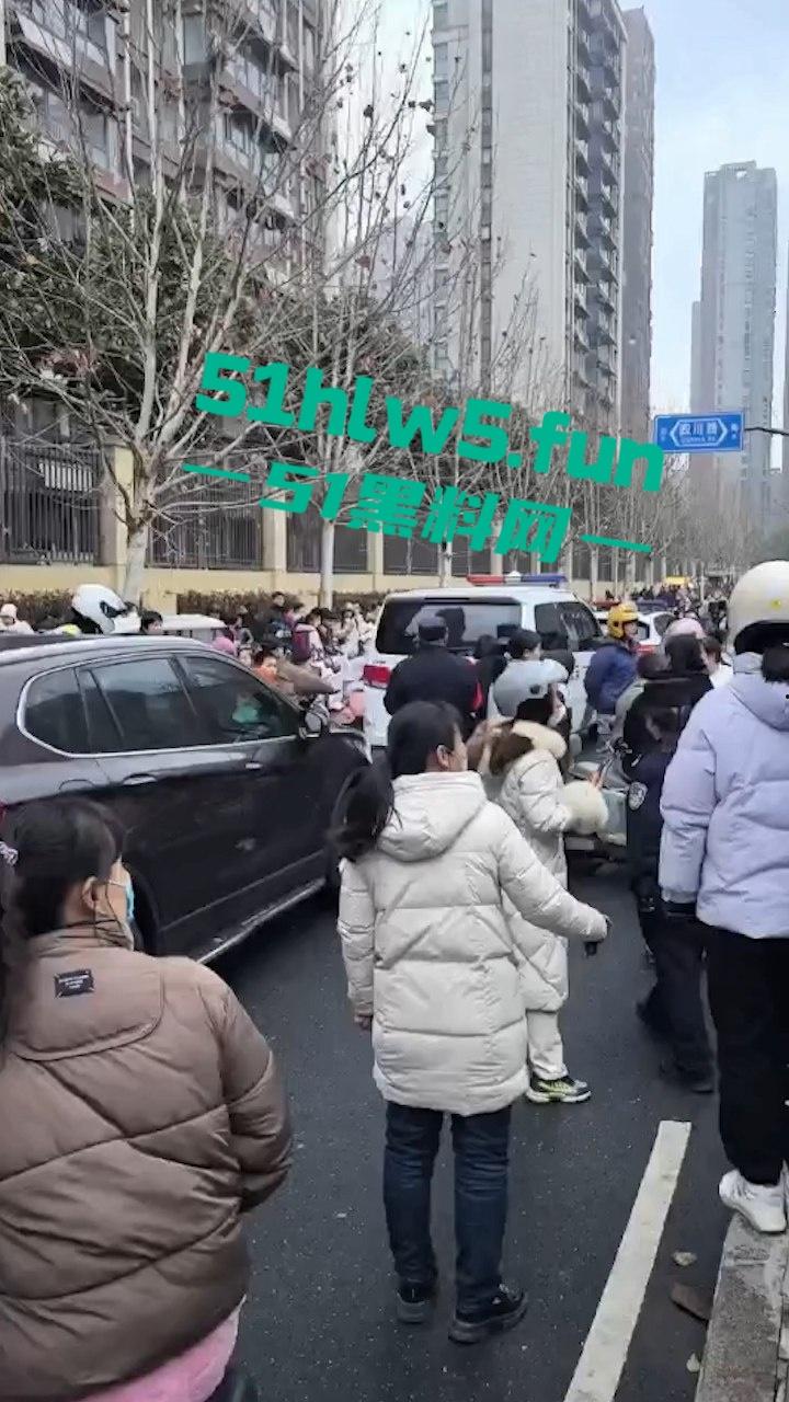 合肥滨湖小学，三年级小男生遭欺辱被剪操殖器，父亲发疯手刃覇凌同学。-4