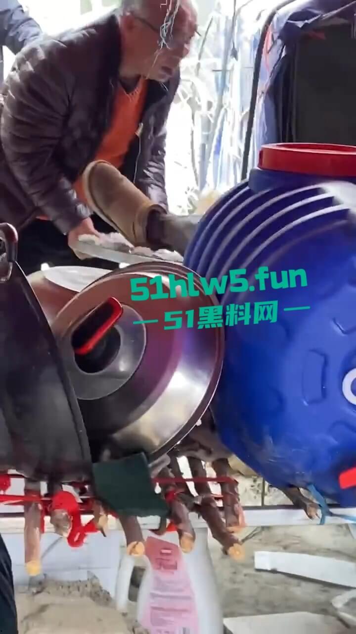 河南镇平庙会游乐设施发生故障致一家三口瞬间高空坠落，一死两伤现场惨不忍睹。