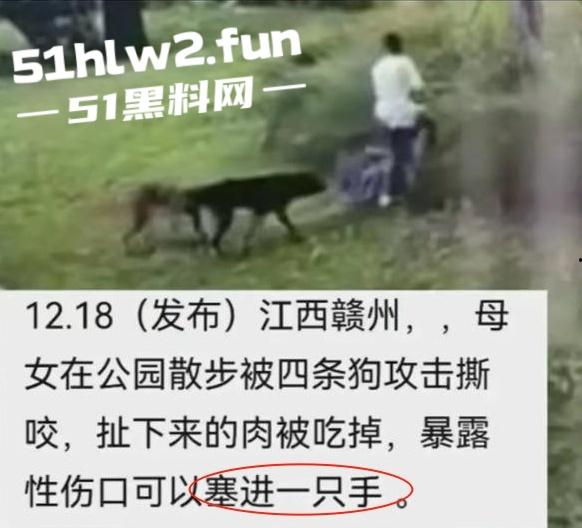 江西赣州四条大型犬公园撕咬母女原视频，狗主人拒绝赔偿系当地小老板，引起了广大网友们热议。-8