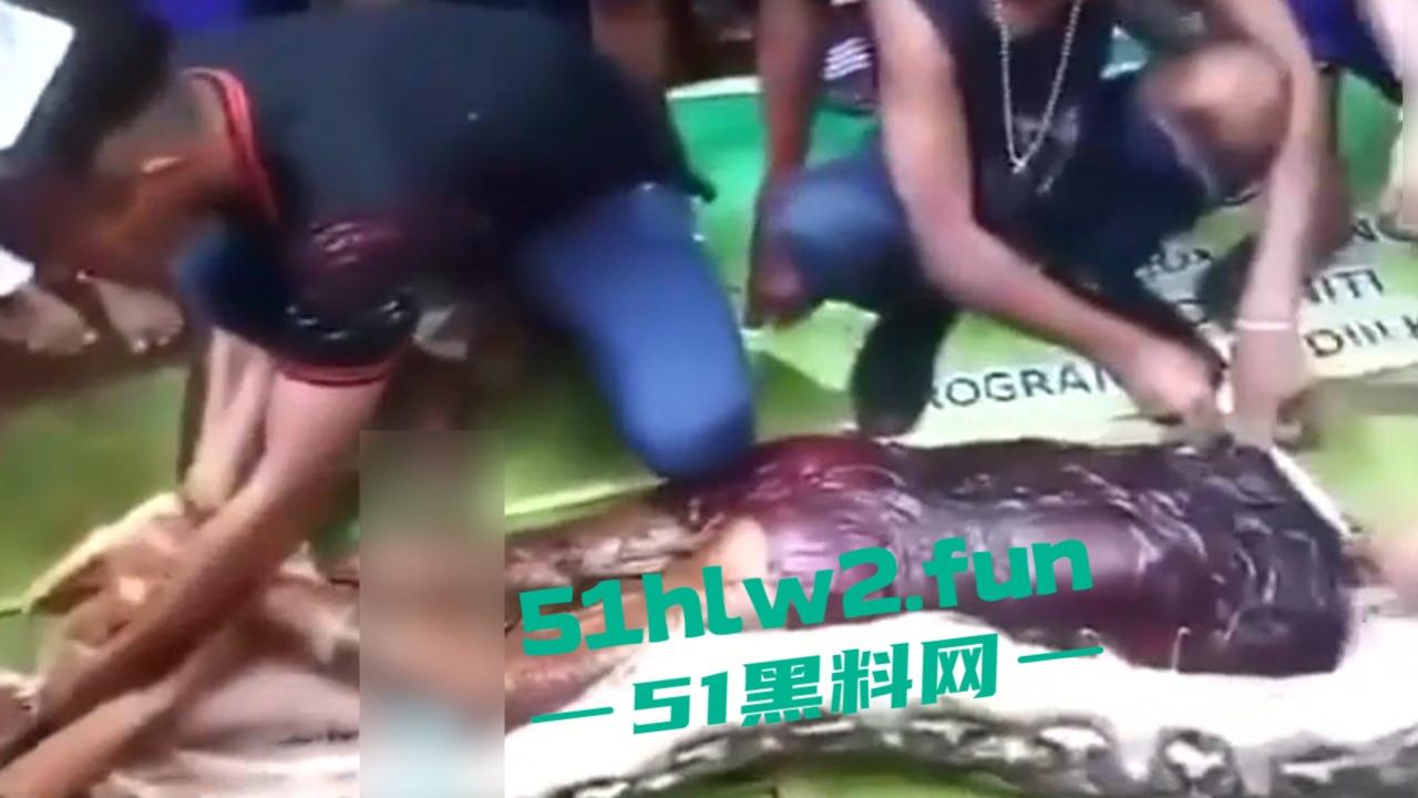 印尼猎奇事件，一妇女在回家途中遭蟒蛇袭击，将其缠绕致死后将妇女吞入腹中被村民发现将蟒蛇打死。