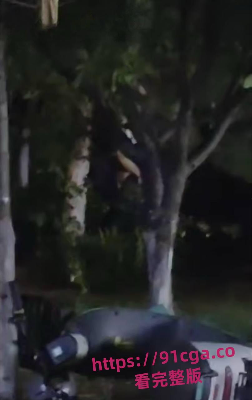 东营55岁老不朽夜市小树林与女激情一分钟速战速决引热议！-4