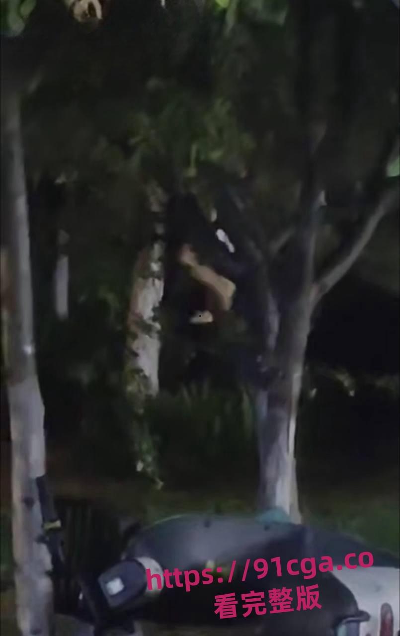 东营55岁老不朽夜市小树林与女激情一分钟速战速决引热议！-5