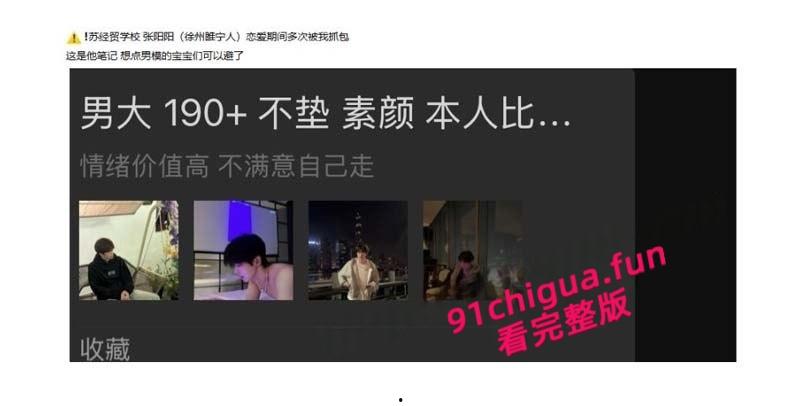 苏州经贸职业技术学院【张阳阳】恋爱期间被抓包百人斩，11页PDF曝光渣男笔记男模粉快避！-1