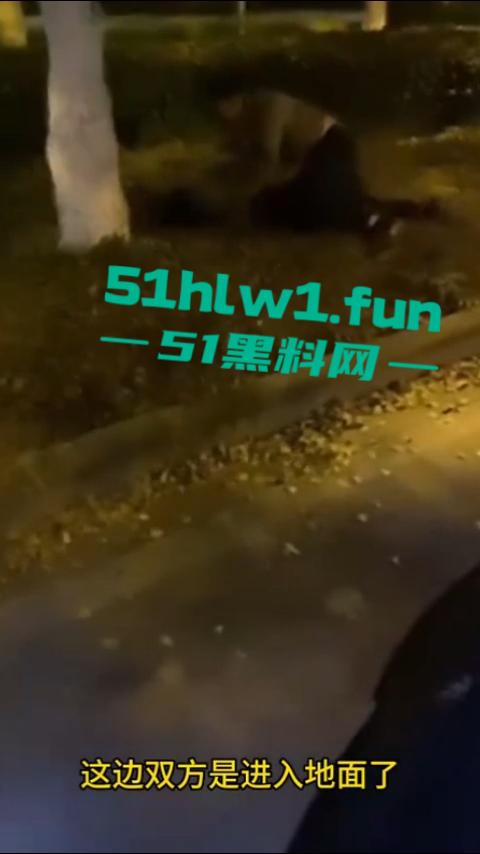 解说版女子抓奸后，让网约车师傅拍摄男女吵架引起热议，百万存款的足浴妹绿了自己丈夫10年。-2