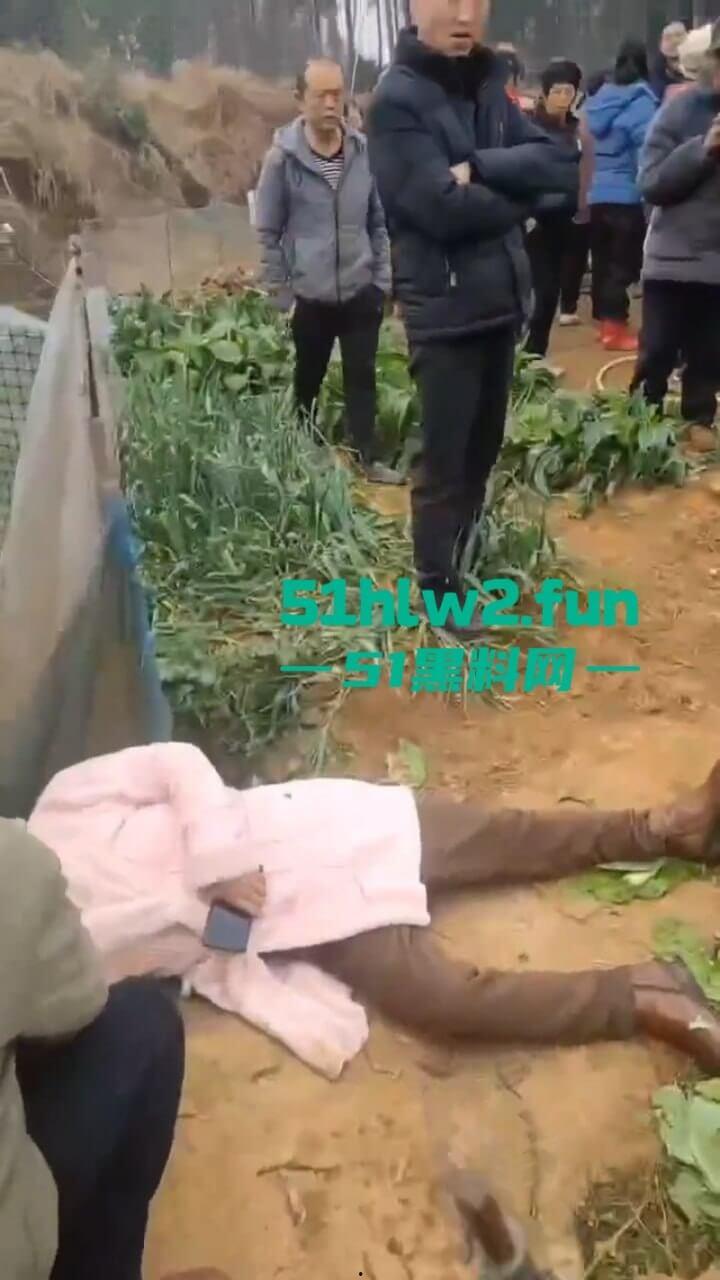 湖南衡阳李花村和添枝村互殴，数名外姓移门村民被打晕倒地不起，现场实拍流出。