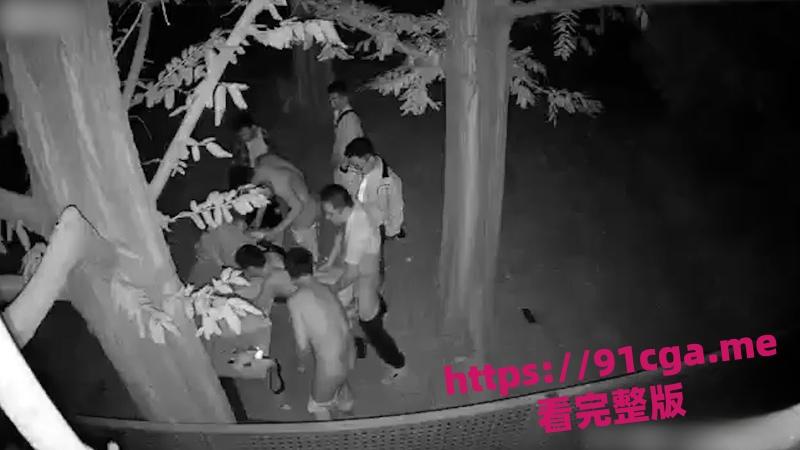 成都百花潭公园多名男同排队攻后庭 被监控拍下这菊花残一幕