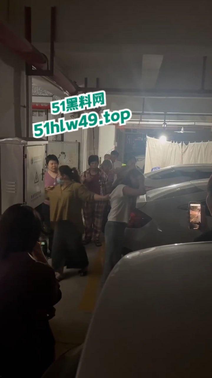 广东汕头肥猪女捉奸，小三车上涂鸦带人当街殴打，肥婆已被逮捕求谅解只能净身出户。