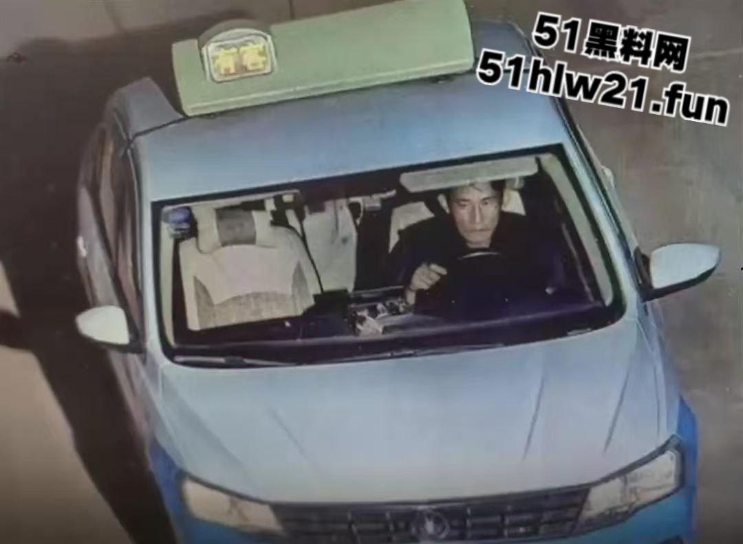 云南保山出租车司机遭乘客劫杀，凶手夺车而逃焚车自杀，嫌犯遗体被村民上山干活时发现。-6